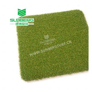 高尔夫专用草坪