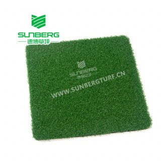 门球专用草坪